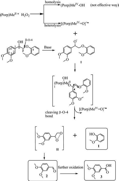 Proposed Mechanism For The Oxidation Of The Lignin Model Compound