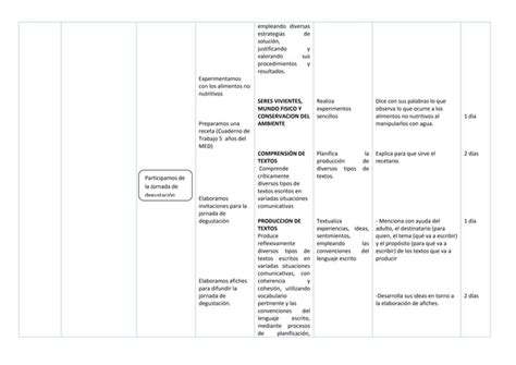 Matriz de programación anual 5 años nivel inicial PPT