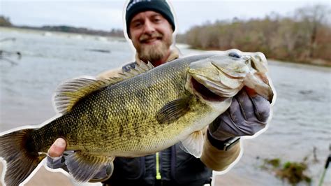 Shoal Bass Georgia Record