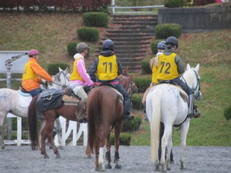 エンデュランス八ヶ岳大会・結果 ｶﾅﾃﾞｨｱﾝｷｬﾝﾌﾟ乗馬ｸﾗﾌﾞ 福岡･八ヶ岳･北海道での乗馬は当ｸﾗﾌﾞへ