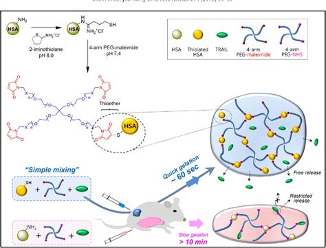 Figure From In Situ Facile Forming Peg Cross Linked Albumin Hydrogels