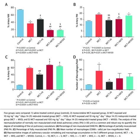 In Vivo Effects Of Nebivolol And Metoprolol On Pulmonary Vascular