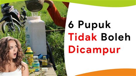 6 Pupuk Yang Gak Boleh Dicampur Insektisida Fungisida YouTube