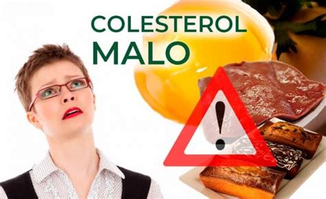 Cuáles son los alimentos que suben el colesterol Enterate Delicias