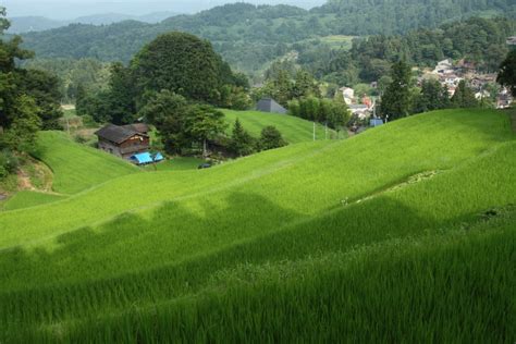 棚田の集落（新潟県長岡市一之貝） 越後長岡発／建築・風景写真