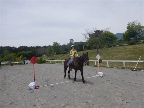 春季八ヶ岳エンデュランス大会2015結果 ｶﾅﾃﾞｨｱﾝｷｬﾝﾌﾟ乗馬ｸﾗﾌﾞ 福岡･八ヶ岳･北海道での乗馬は当ｸﾗﾌﾞへ