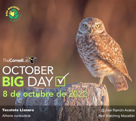 October Big Day 2024 Colombia Nerti Yoshiko