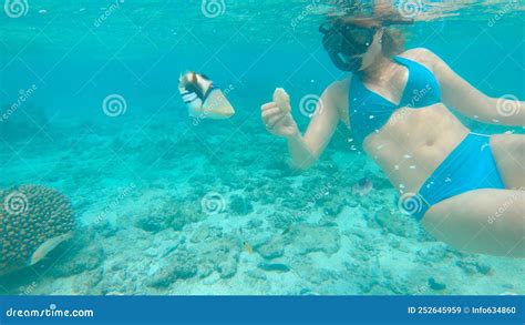 Underwater Caring Young Woman Snorkeling Around Coral Reef Feeding The