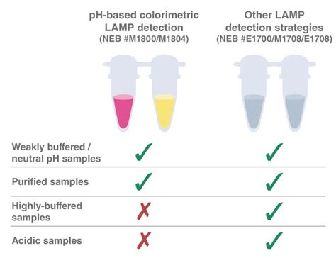 Isothermal Amplification New England Biolabs Gmbh