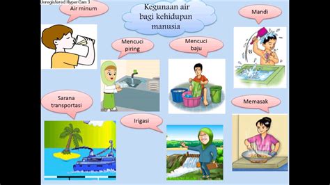 Materi Manfaat Air Untuk Sd