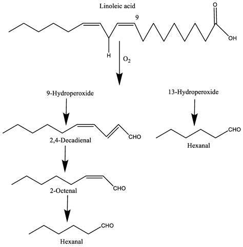 Linoleic Acid Resonance Structures