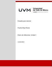 Diario para resolver pdf Empatía para resolver Paulina Rojo Rivera