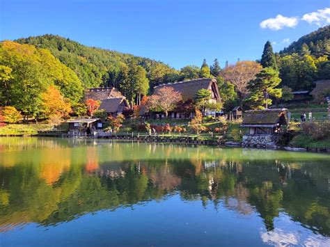 Autumn Leaves in Takayama | Visit Gifu | Kyuhoshi