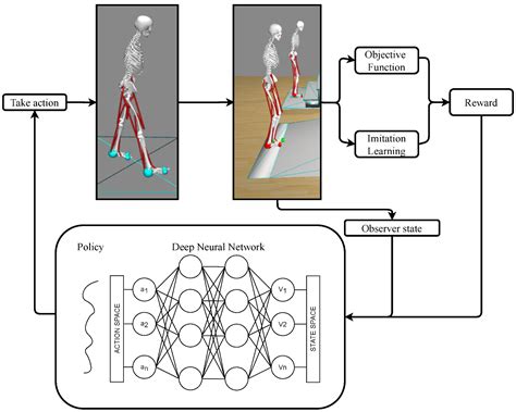 Sensors Free Full Text Learning To Ascend Stairs And Ramps Deep