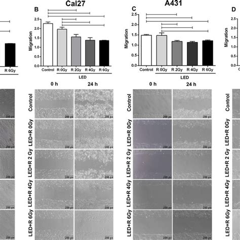 Cell Migration Rate After Treatment With Pbm Effect On Cell Migration