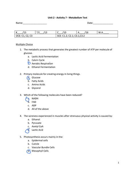 Unit Activity Metabolism Test The Metabolic Process That