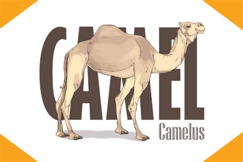 Camel Craft 2 Graphic By Frimma Gamma · Creative Fabrica