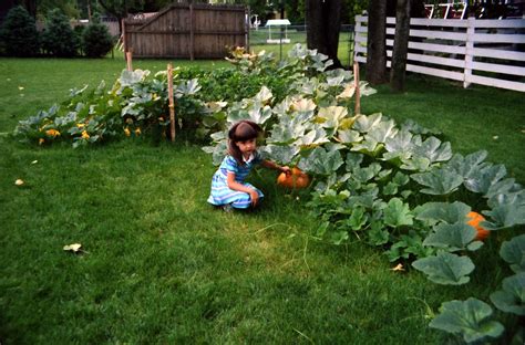 Bv Sara Pumpkin Garden North Tonawanda Ny Walter Etten Flickr