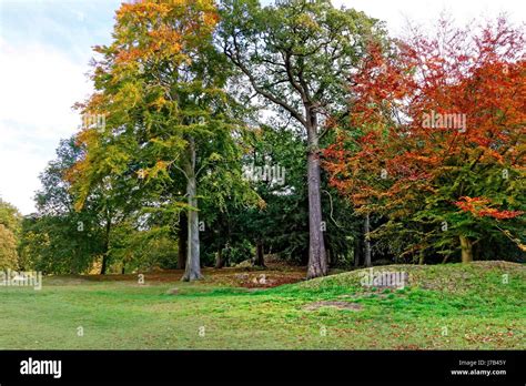 CHATSWORTH HOUSE GARDENS Stock Photo - Alamy