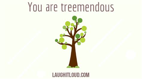 50 Tree Puns That Will Make You Laugh Laughitloud