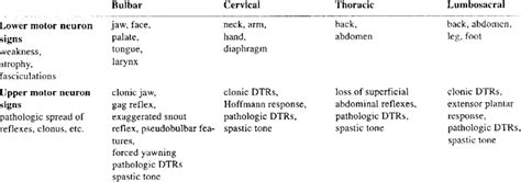 Are Fasciculations Upper Or Lower Motor Neuron - Infoupdate.org