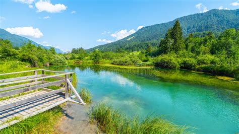 Zelenci - Emerald-green Lake in the Mountains Stock Photo - Image of ...