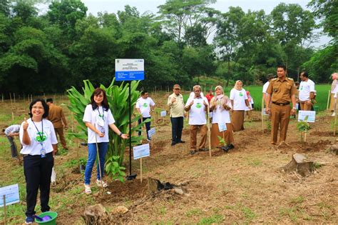 Konsisten Dukung Program Penghijauan Bca Dan Pemkab Cikarang Tanam