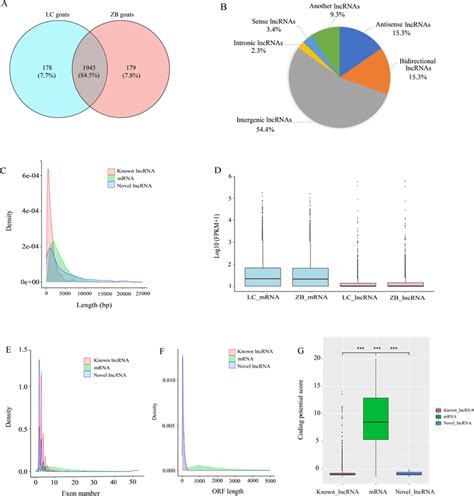 Characterization Of Lncrnas Identified In The Longissimus Dorsi Muscle