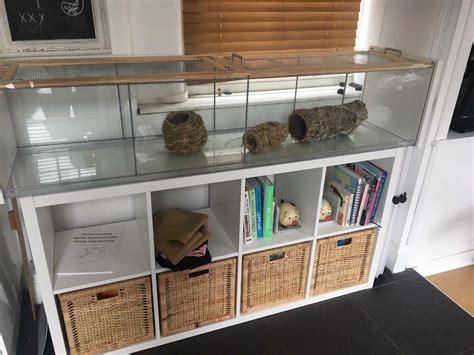 Ikea Detolf Hamster Cage With Lid And Kallax Unit And Storage Baskets