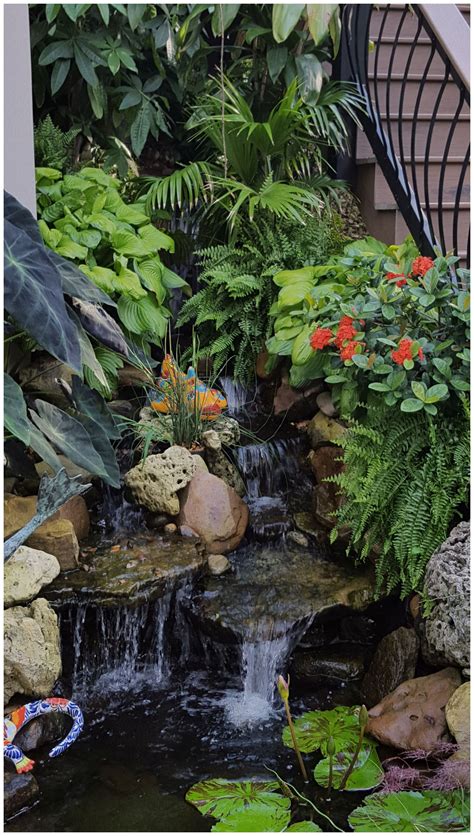 Ideas For Planting Around A Water Feature At Ronald Wooton Blog