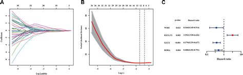 Frontiers A Novel Defined Hypoxia Related Gene Signature For