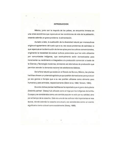 PDF Introducción tesis uson mxtesis uson mx digital tesis docs 1509