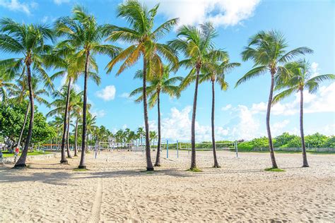 Miami South Beach park with palms Photograph by Maria Kray - Pixels