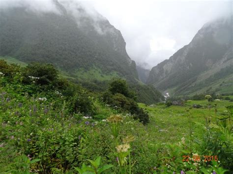 Valley Of Flowers National Park Part Of Nanda Devi Biosphere