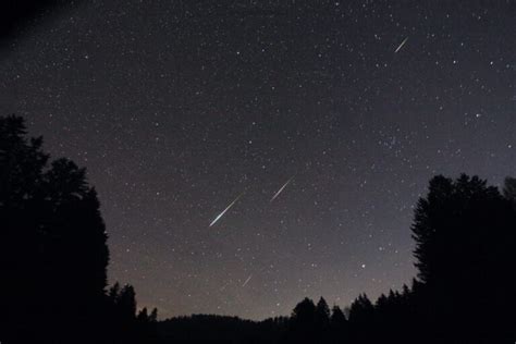 Maximum Leoniden Sternschnuppen Mitte November Astronomischer