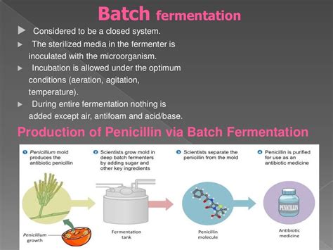 Microbial Fermentation By Aneela Saleem