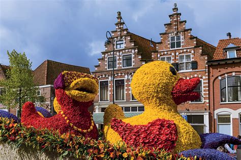 Circuit La Hollande Le Corso Fleuri Et Les Tulipes Du Parc Keukenhof