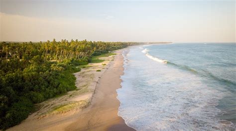 Visit Tangalle: 2024 Travel Guide for Tangalle, Southern Province | Expedia