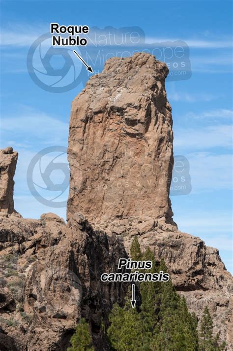 Volcanic neck. Roque Nublo. Gran canaria. Canary Islands. Spain - Volcanic neck - Erosion ...