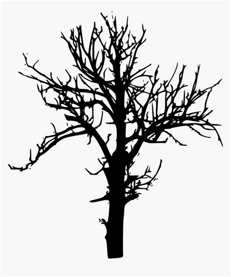 Tree-silhouette - Tree Silhouette No Background, HD Png Download ...