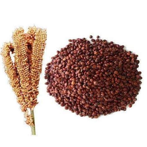 Ragi Finger Millet – 1Kg - Nature Choice Enterprises