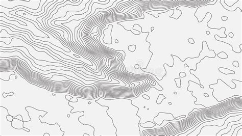 Topografía Vectorial De Los Contornos Grises Gráfico Vectorial De La