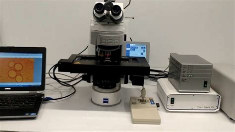 Zeiss Axio Imagerz2 Motorized Fluorescence Microscope Bostonind