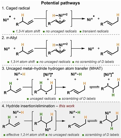 Stereodivergent Kinetically Controlled Isomerization Of Terminal