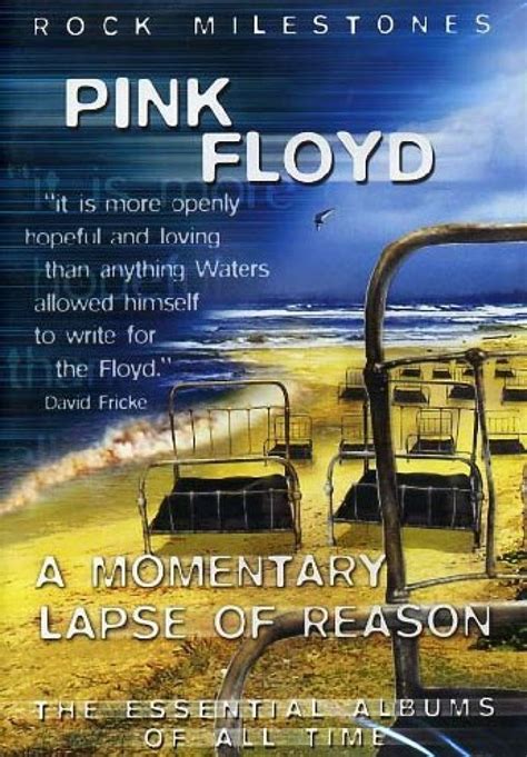 Pink Floyd A Momentary Lapse Of Reason Dvd Hitparade Ch