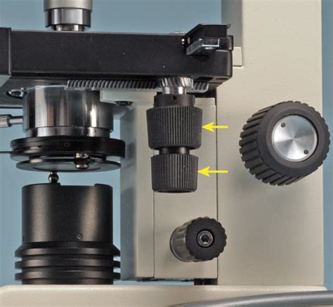 Microscope Activities, 11: Using a Mechanical Stage