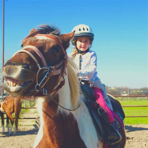 horseback riding camps near me - Quite A State Binnacle Image Library