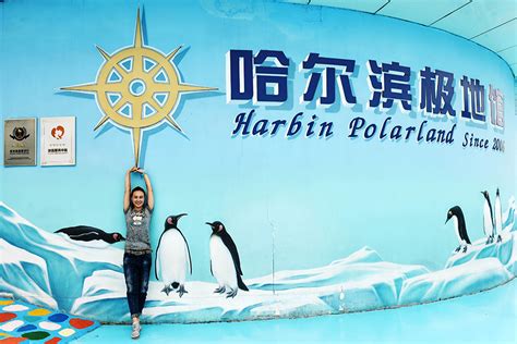 Post S Girl Performs With Beluga Whale At Harbin Polarland