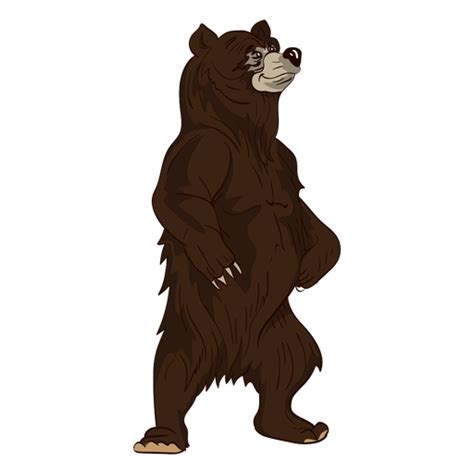 Standing Brown Bear Cartoon Transparent Png And Svg Vector File