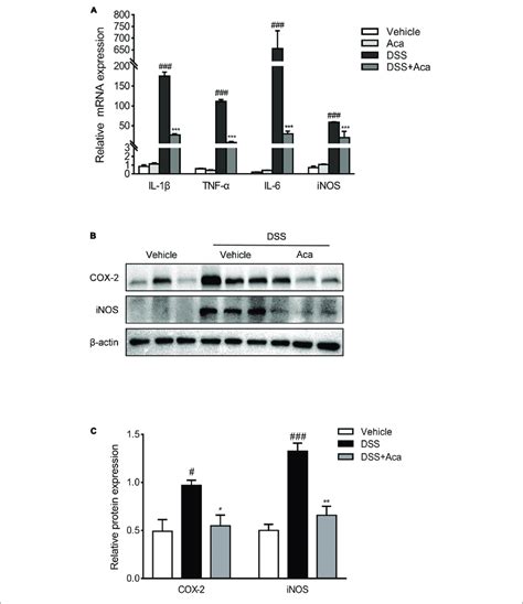 Acacetin Inhibited The Expression Of Inflammatory Mediators In Vivo